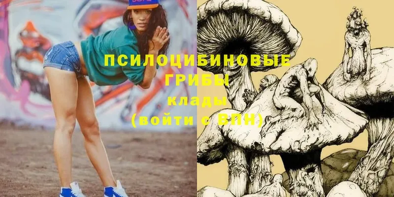 Псилоцибиновые грибы MAGIC MUSHROOMS  маркетплейс как зайти  Бобров 